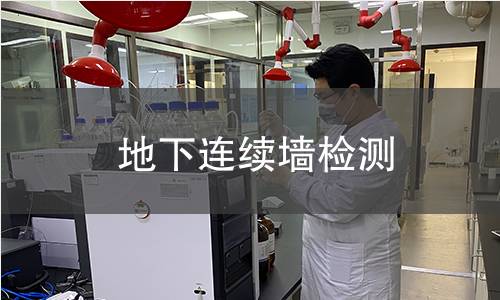 地下連續(xù)墻檢測