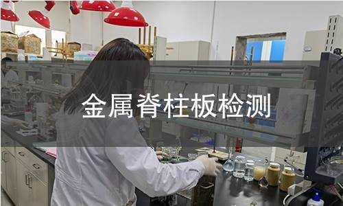 金屬脊柱板檢測(cè)