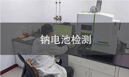 鈉電池檢測(cè)