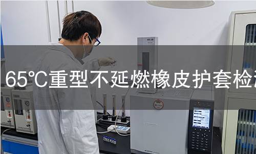 65℃重型不延燃橡皮護套檢測