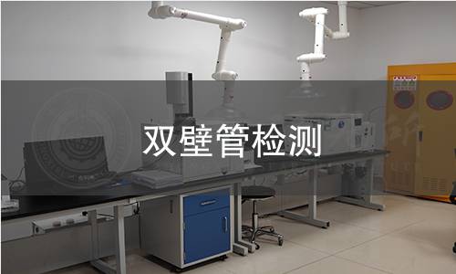 雙壁管檢測