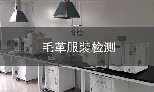 毛革服裝檢測