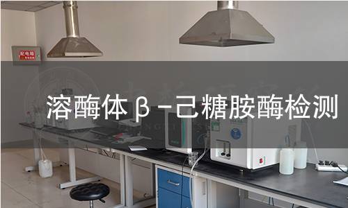  溶酶體β-己糖胺酶檢測(cè)