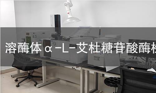  溶酶體α-L-艾杜糖苷酸酶檢測(cè)