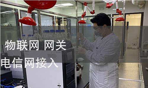 GB/T 38624.2-2021 物聯(lián)網(wǎng) 網(wǎng)關(guān) 第2部分：面向公用電信網(wǎng)接入的網(wǎng)關(guān)技術(shù)要求