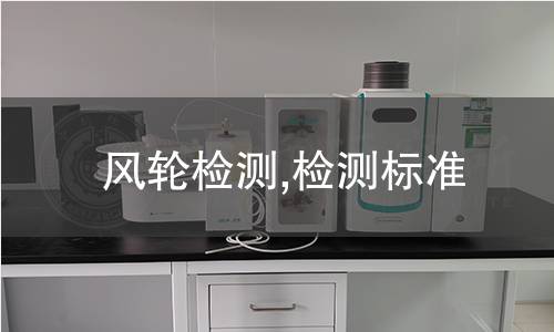 風(fēng)輪檢測(cè),檢測(cè)標(biāo)準(zhǔn) 風(fēng)輪檢測(cè),檢測(cè)標(biāo)準(zhǔn)