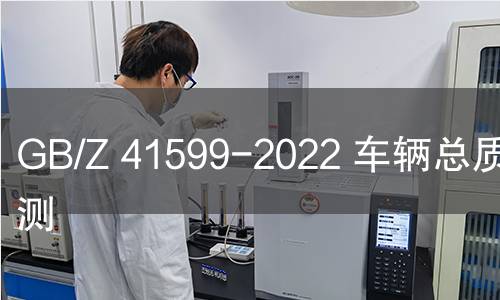 GB/Z 41599-2022 車輛總質(zhì)量監(jiān)測