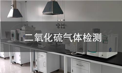 二氧化硫氣體檢測(cè) 二氧化硫氣體檢測(cè)