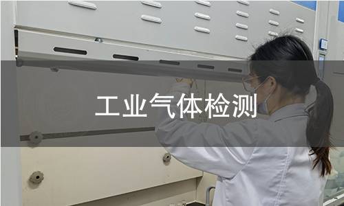 工業(yè)氣體檢測 工業(yè)氣體檢測