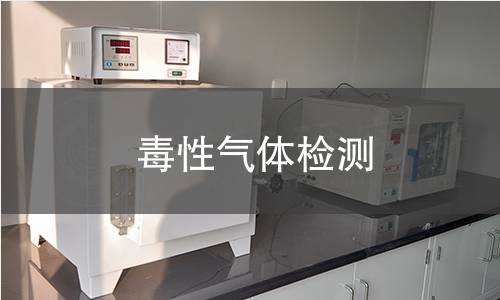 毒性氣體檢測(cè) 毒性氣體檢測(cè)