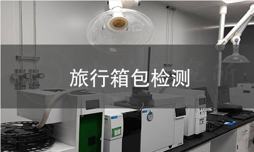 旅行箱包檢測(cè)