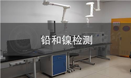 鉛和鎳檢測